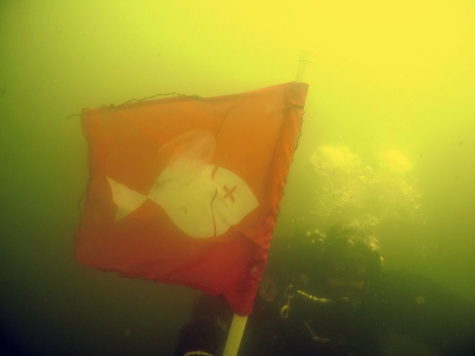 Iltsvind breder sig kraftigt: Greenpeace vil have mere fart på landbrugets kvælstofindsats